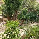 La Des Amandiers Bed & Breakfast Hyères