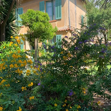 La Des Amandiers Bed & Breakfast