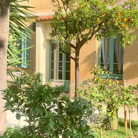 Bed & Breakfast La Des Amandiers Hyeres