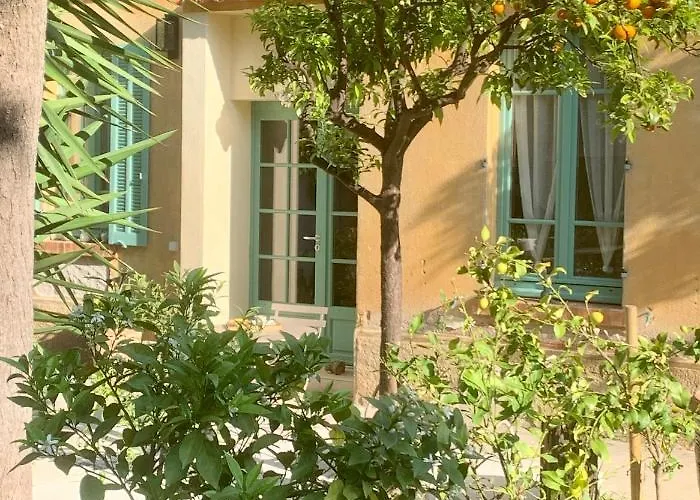 Bed & Breakfast La Des Amandiers Hyeres