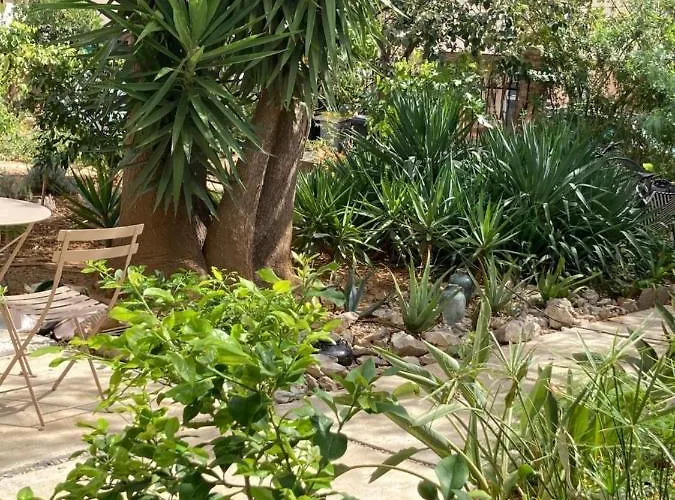 La Des Amandiers Bed & Breakfast Hyères