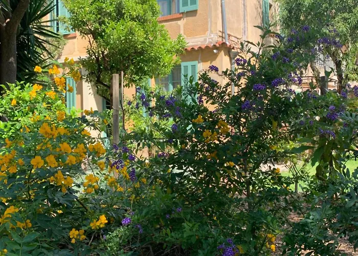 La Des Amandiers Bed & Breakfast